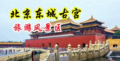 插黑美女小穴视频中国北京-东城古宫旅游风景区